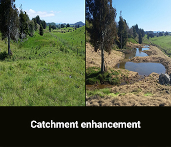 Catchment Enhancement CI