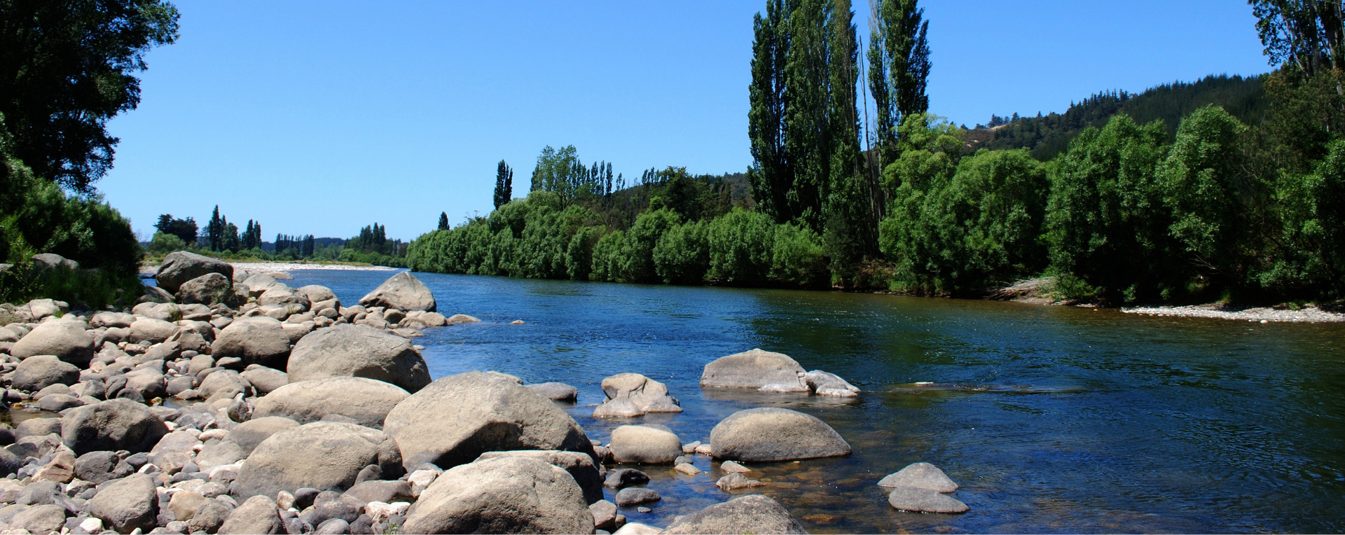 Motueka river skinny